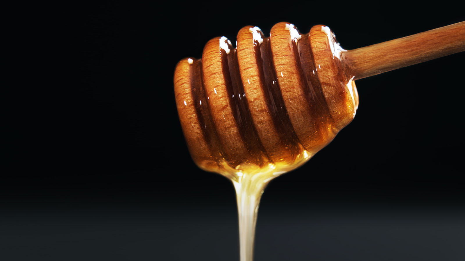 Versez du miel pour la fabrication de l'hydromel