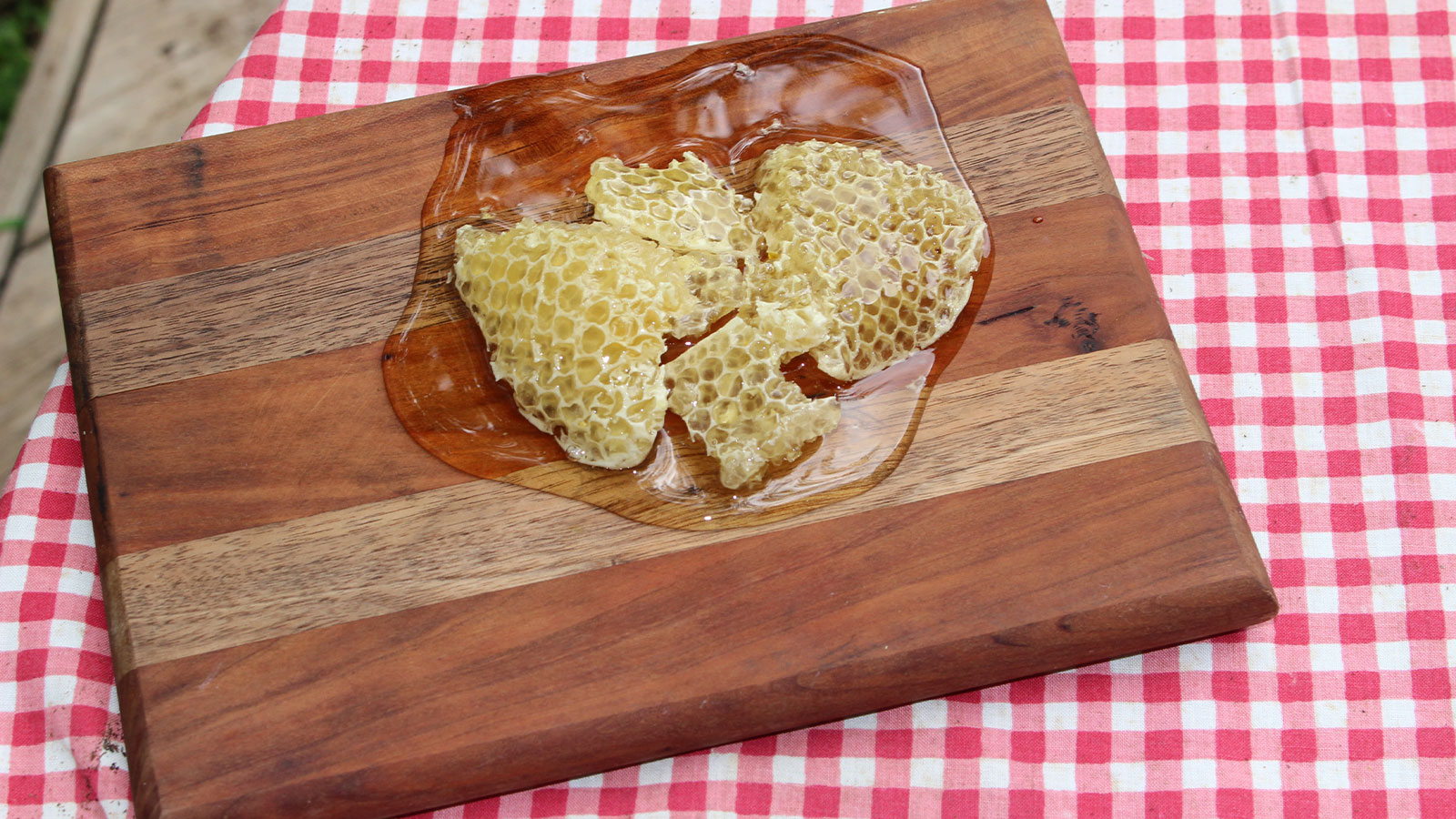 morceau de ruche avec le miel