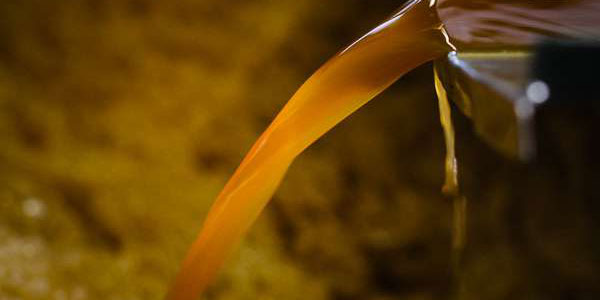 Dégustation d'un cidre Pays d'Auge à la fin de la fermentation naturelle en bouteille