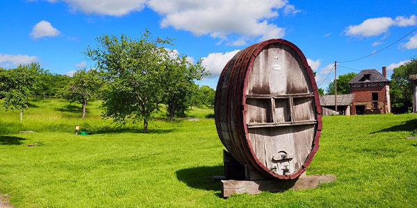 Tou sa voir sur les lieux, événements ... autour de la filière cidricole en Normandie