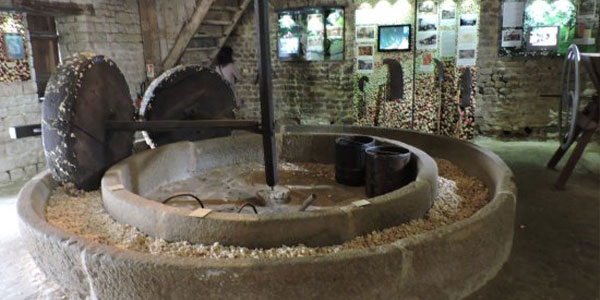 Pressoir de pommes à cidre lors de la fabrication d'un cidre Pays d'Auge